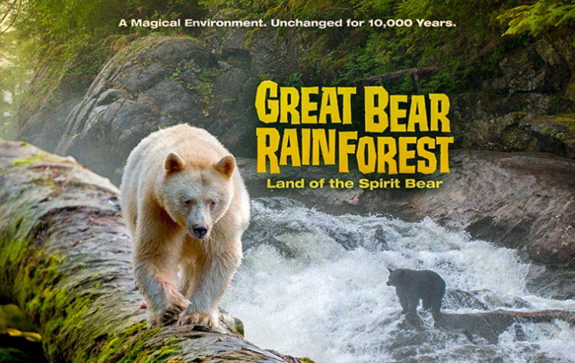加拿大西海岸大熊雨林探险巡游摄影团